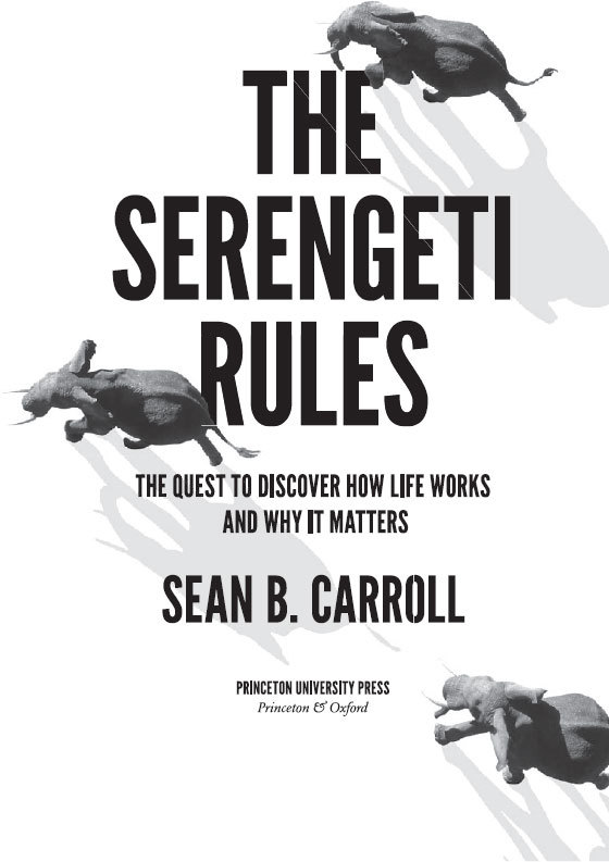 Закон «джунглей». В поисках формулы жизни - _1.jpg