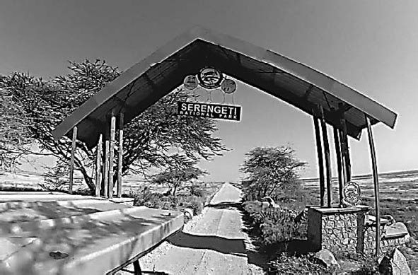 Закон «джунглей». В поисках формулы жизни - _2.jpg