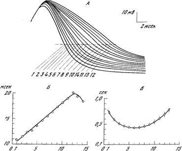 Генеалогия нейронов - _9.jpg