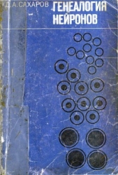  Сахаров Дмитрий Антонович - Генеалогия нейронов