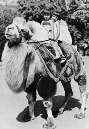 Мой огненный ангел - i_104.jpg