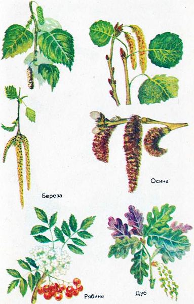 Сам себе синоптик - nonjpegpng_i_059.jpg