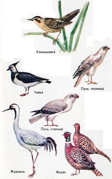 Сам себе синоптик - nonjpegpng_i_063.jpg