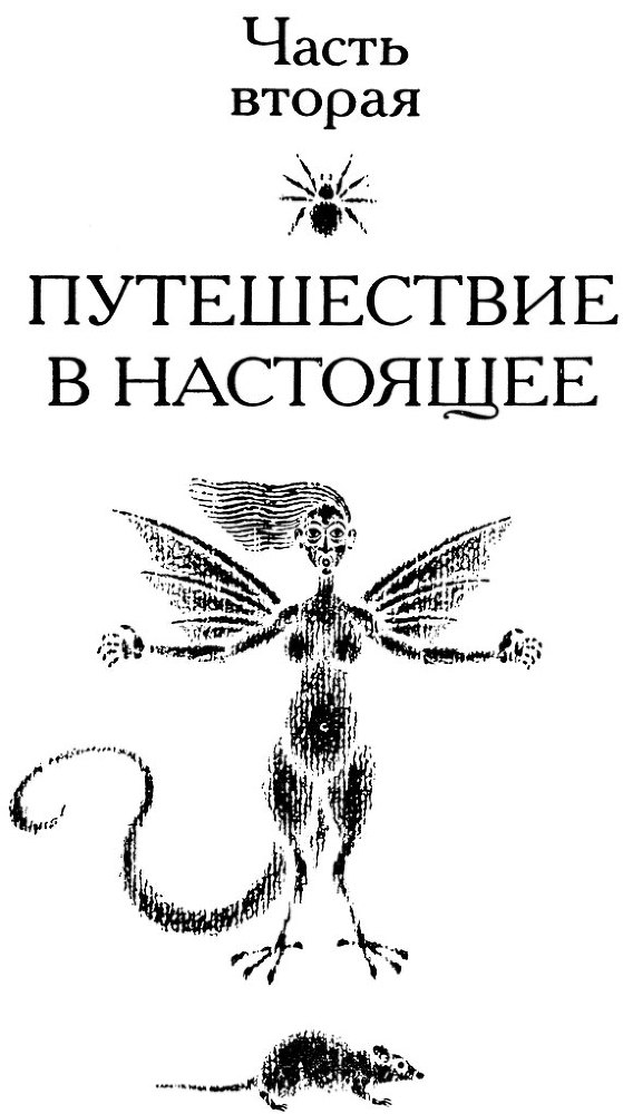 Тринадцать черных кошек - _32.jpg