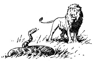 Нгоньяма желтогривый - doc2fb_image_0200000E.jpg