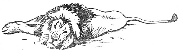 Нгоньяма желтогривый - doc2fb_image_02000017.jpg