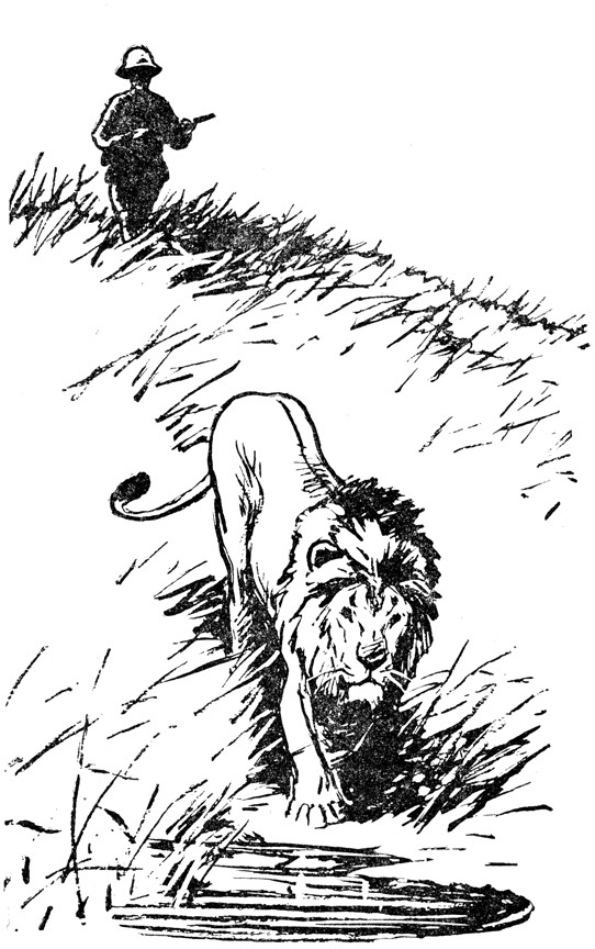 Нгоньяма желтогривый - doc2fb_image_02000024.jpg