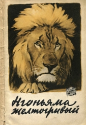 Нгоньяма желтогривый - автор Гленвилл Эрнст 