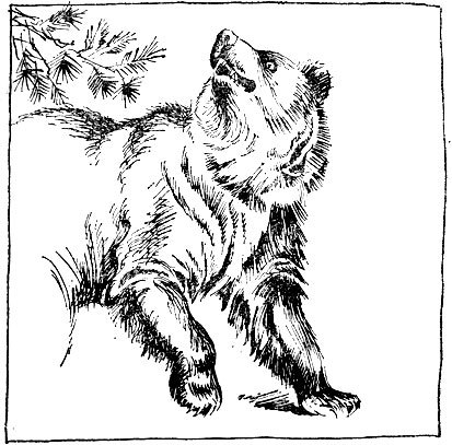 Запахи в жизни зверей - doc2fb_image_02000007.jpg