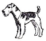 Запахи в жизни зверей - doc2fb_image_02000016.jpg