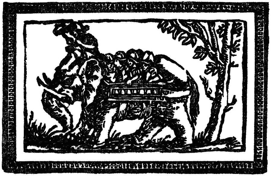 Животный мир легенд и сказок - _19.jpg