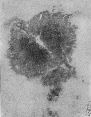 Строение вселенной - _35.jpg