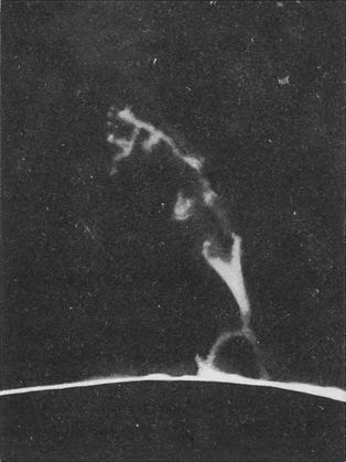 Строение вселенной - _36.jpg