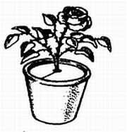 2000 советов для неумелых рук - _133.jpg