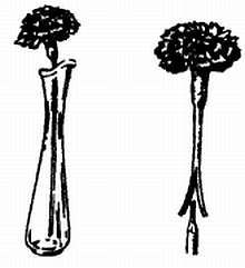 2000 советов для неумелых рук - _134.jpg