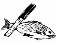 2000 советов для неумелых рук - _283.jpg