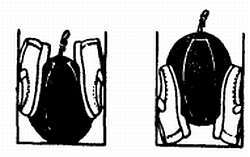 2000 советов для неумелых рук - _374.jpg