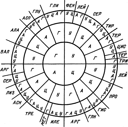 Самая главная молекула. От структуры ДНК к биомедицине XXI века - _8.png