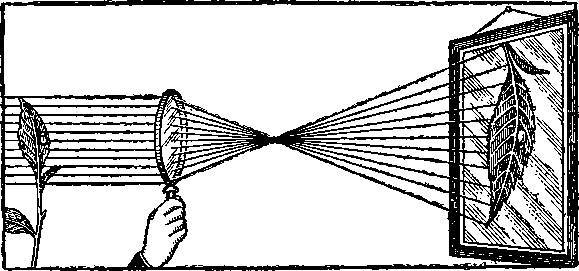 Как кино служит человеку - _9.jpg
