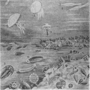 Происхождение жизни - _40.jpg