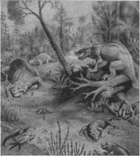 Происхождение жизни - _43.jpg