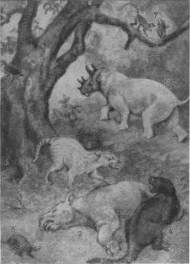 Происхождение жизни - _45.jpg