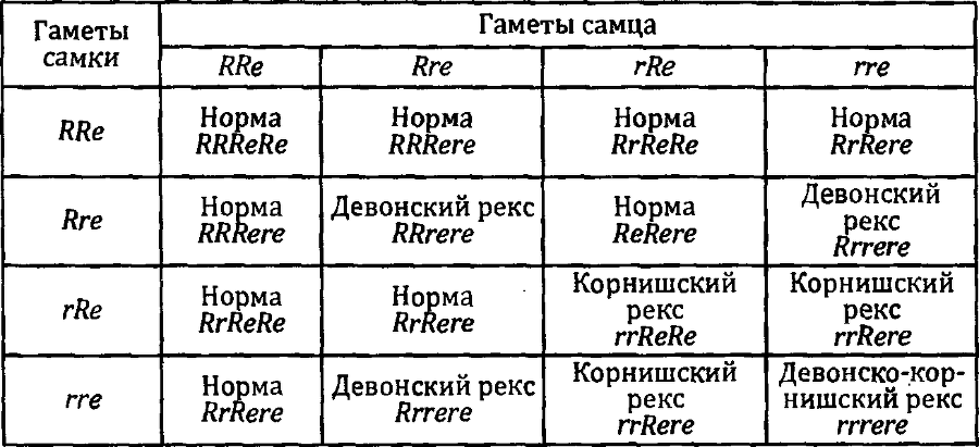 Кошки и гены - doc2fb_image_03000013.png