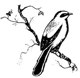 Крылатые друзья - doc2fb_image_0200000F.jpg