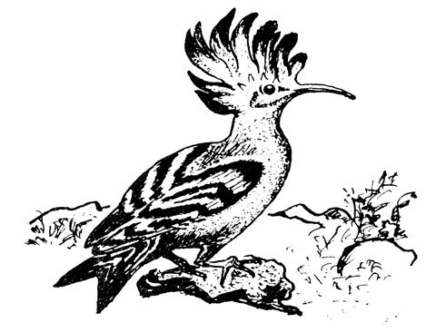 Крылатые друзья - doc2fb_image_02000010.jpg