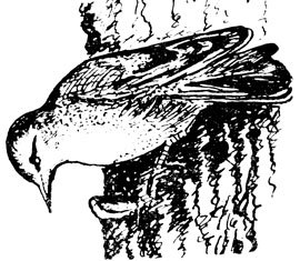 Крылатые друзья - doc2fb_image_02000012.jpg