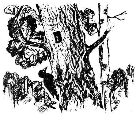 Крылатые друзья - doc2fb_image_02000013.jpg