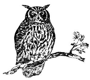 Крылатые друзья - doc2fb_image_0200001C.jpg