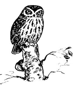 Крылатые друзья - doc2fb_image_0200001E.jpg