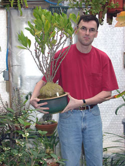 Причудливые деревья - _294.jpg