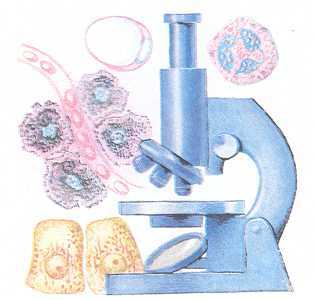 Увиденное невидимое - _10.jpg