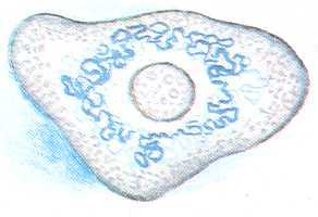 Увиденное невидимое - _11.jpg