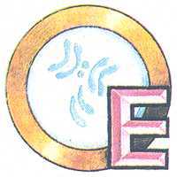 Увиденное невидимое - _12.jpg