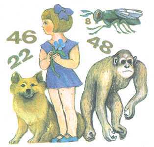 Увиденное невидимое - _13.jpg