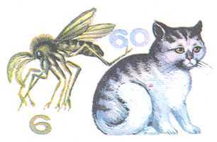 Увиденное невидимое - _14.jpg