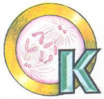 Увиденное невидимое - _15.jpg