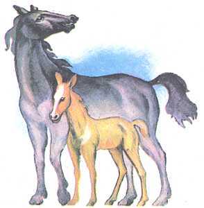 Увиденное невидимое - _16.jpg