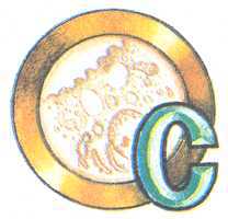 Увиденное невидимое - _19.jpg