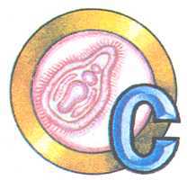 Увиденное невидимое - _32.jpg