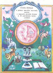 Увиденное невидимое - _5.jpg