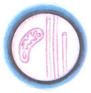 Увиденное невидимое - _53.jpg