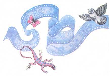 Увиденное невидимое - _54.jpg