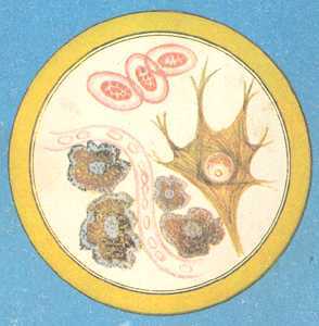 Увиденное невидимое - _56.jpg