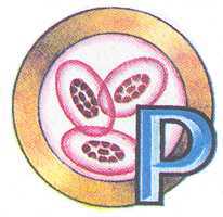 Увиденное невидимое - _6.jpg