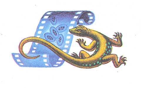 Увиденное невидимое - _8.jpg