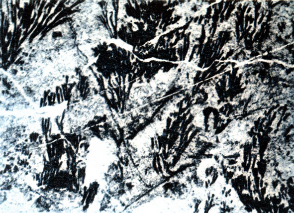 Земля и жизнь - doc2fb_image_0200002B.jpg